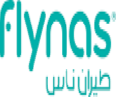 FLY NAS